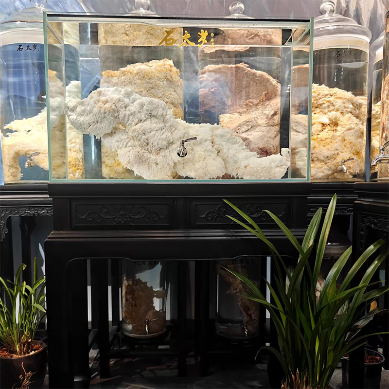 长白山野生石太岁