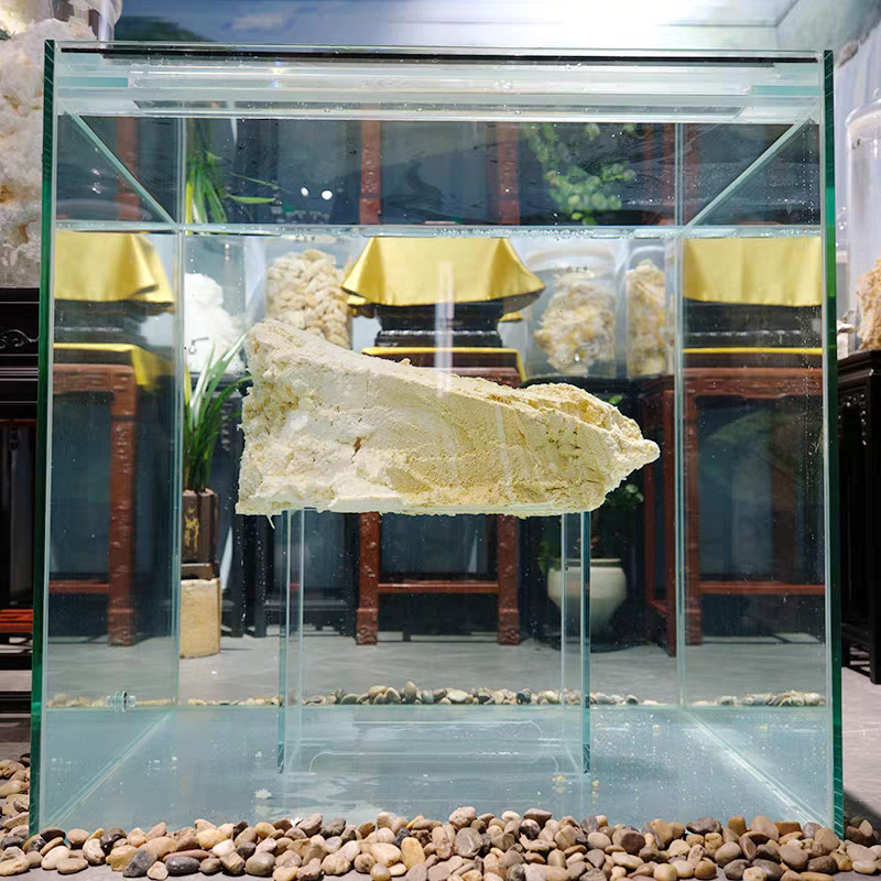 长白山野生石太岁